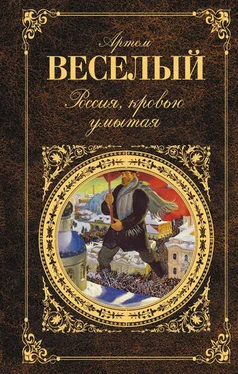 Артём Веселый Россия, кровью умытая (сборник) обложка книги