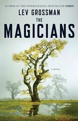 Lev Grossman - The Magicians