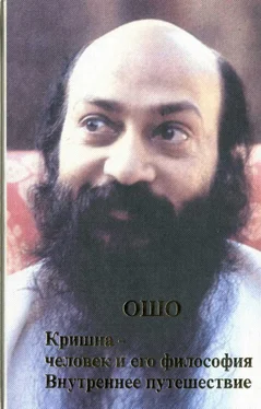 Бхагаван Раджниш Кришна: человек и его философия. Внутреннее путешествие