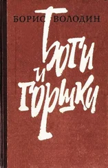 Борис Володин - Боги и горшки