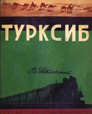 Виктор Шкловский Турксиб обложка книги