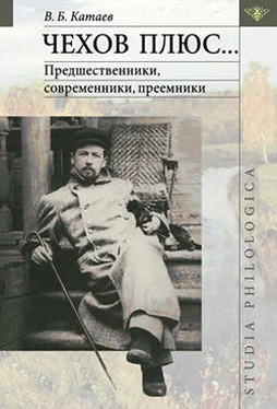 Владимир Катаев Чехов плюс… обложка книги