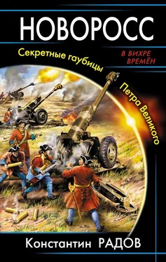 Константин Радов Новоросс. Секретные гаубицы Петра Великого обложка книги