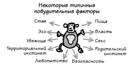 Некоторые типичные побудительные факторы Когда мы начинаем обращать внимание - фото 21