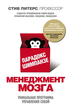 Стив Питерс Парадокс Шимпанзе. Менеджмент мозга обложка книги