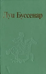 Луи Буссенар - Проводник