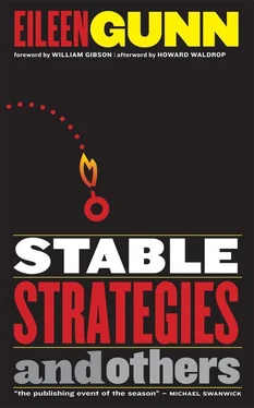 Eileen Gunn Stable Strategies and Others обложка книги