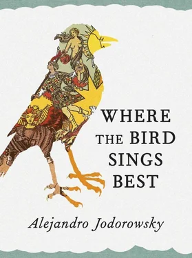 Alejandro Jodorowsky Where the Bird Sings Best обложка книги