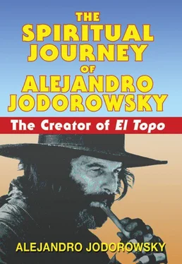 Alejandro Jodorowsky The Spiritual Journey of Alejandro Jodorowsky: The Creator of El Topo обложка книги