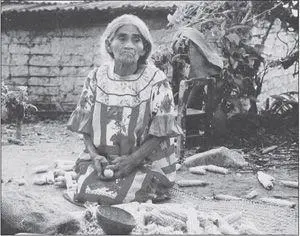 Maria Sabina the mushroom priestess Chilean singer Violete Parra - фото 13
