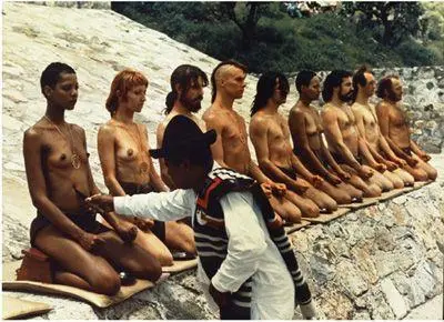 The lineup From El Topo The Sex Machine From The Holy Mountain A - фото 45
