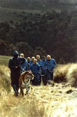 The tiger ascends the mountain From The Holy In face of the real words and - фото 51