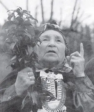 A machi with a branch of cinnamon a sacred tree for the Mapuche Photo - фото 35