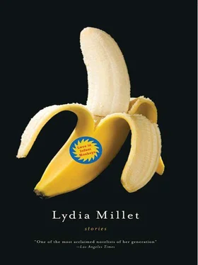 Lydia Millet Love in Infant Monkeys обложка книги