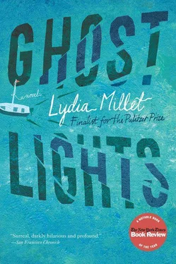 Lydia Millet Ghost Lights обложка книги