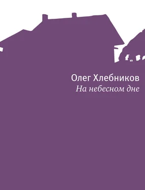 Олег Хлебников На небесном дне обложка книги