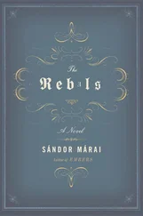 Sandor Marai - The Rebels