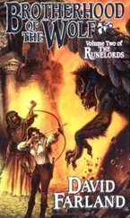 David Farland - Brotherhood of the Wolf