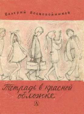 Валерий Воскобойников Тетрадь в красной обложке обложка книги