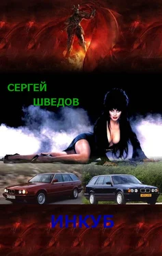 Сергей Шведов Инкуб