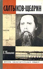 Константин Тюнькин - Салтыков-Щедрин