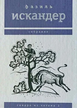 Фазиль Искандер Сандро из Чегема. Том 3 обложка книги