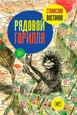 Станислав Востоков Рядовой Горилла (сборник) обложка книги