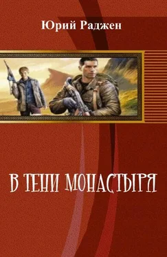 Юрий Раджен В тени монастыря (СИ) обложка книги