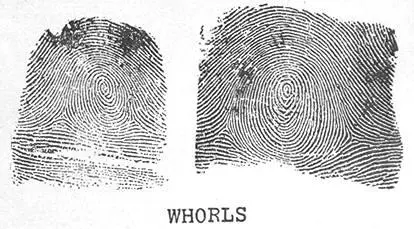 Maybe you have a Whorl pattern on one of your fingers Study them closely and - фото 3