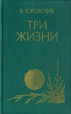 Василий Юровских Три жизни обложка книги