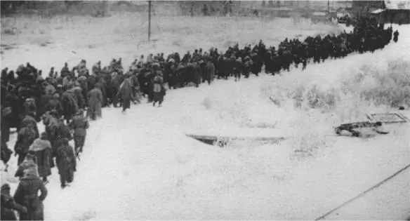 Stalingrad February 1943 German prisoners of war RGAKFDROSINFORM - фото 36