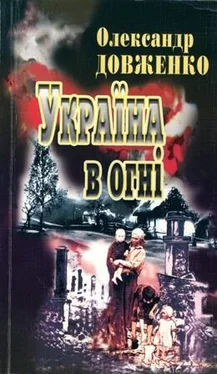 Олександр Довженко Україна у вогні обложка книги