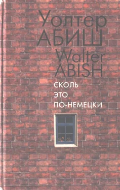 Уолтер Абиш Сколь это по-немецки обложка книги