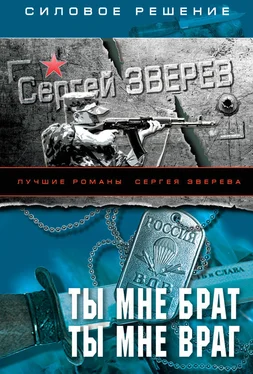 Сергей Зверев Ты мне брат. Ты мне враг обложка книги