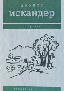 Фазиль Искандер Сандро из Чегема. Том 1 обложка книги