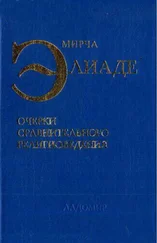 Мирча Элиаде - Очерки сравнительного религиоведения