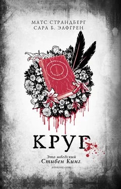 Сара Элфгрен Круг обложка книги