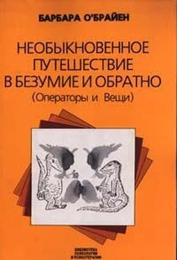 Барбара О'Брайен Необыкновенное путешествие в безумие и обратно (Операторы и Вещи) обложка книги