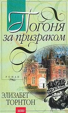 Элизабет Торнтон Погоня за призраком обложка книги