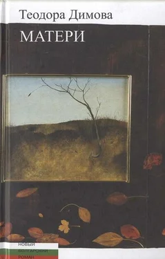Теодора Димова Матери обложка книги