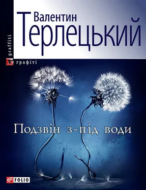 Валентин Терлецький Подзвін з-під води обложка книги