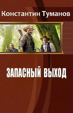 Константин Туманов Запасный выход (СИ) обложка книги