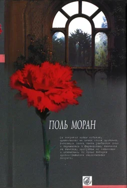 Поль Моран Левис и Ирэн обложка книги