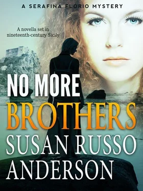 Susan Anderson No More Brothers обложка книги