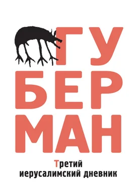 Игорь Губерман Третий иерусалимский дневник (сборник) обложка книги