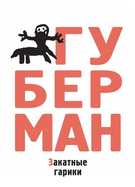 Игорь Губерман Закатные гарики (сборник) обложка книги