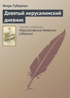 Игорь Губерман Девятый иерусалимский дневник обложка книги