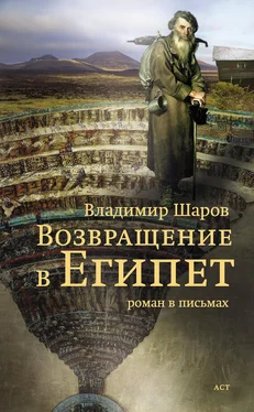 Владимир Шаров Возвращение в Египет обложка книги