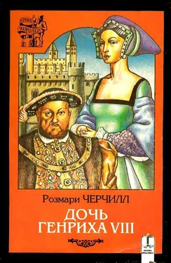 Розмари Черчилл Дочь Генриха VIII обложка книги