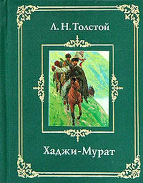 Лев Толстой Хаджи-Мурат обложка книги